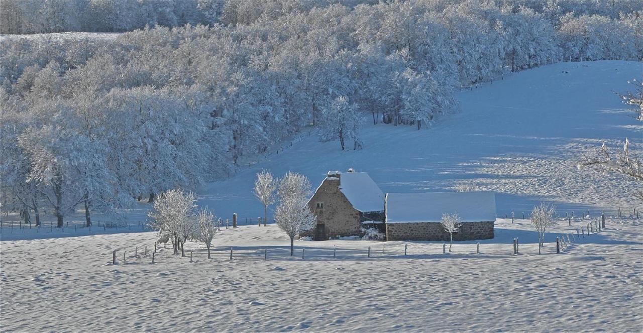 Condom-d'Aubrac Aux Portes D'Aubrac Studio 2 Personnes B&B 외부 사진